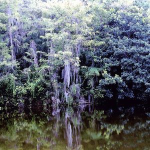 Meet your Posher, Judith